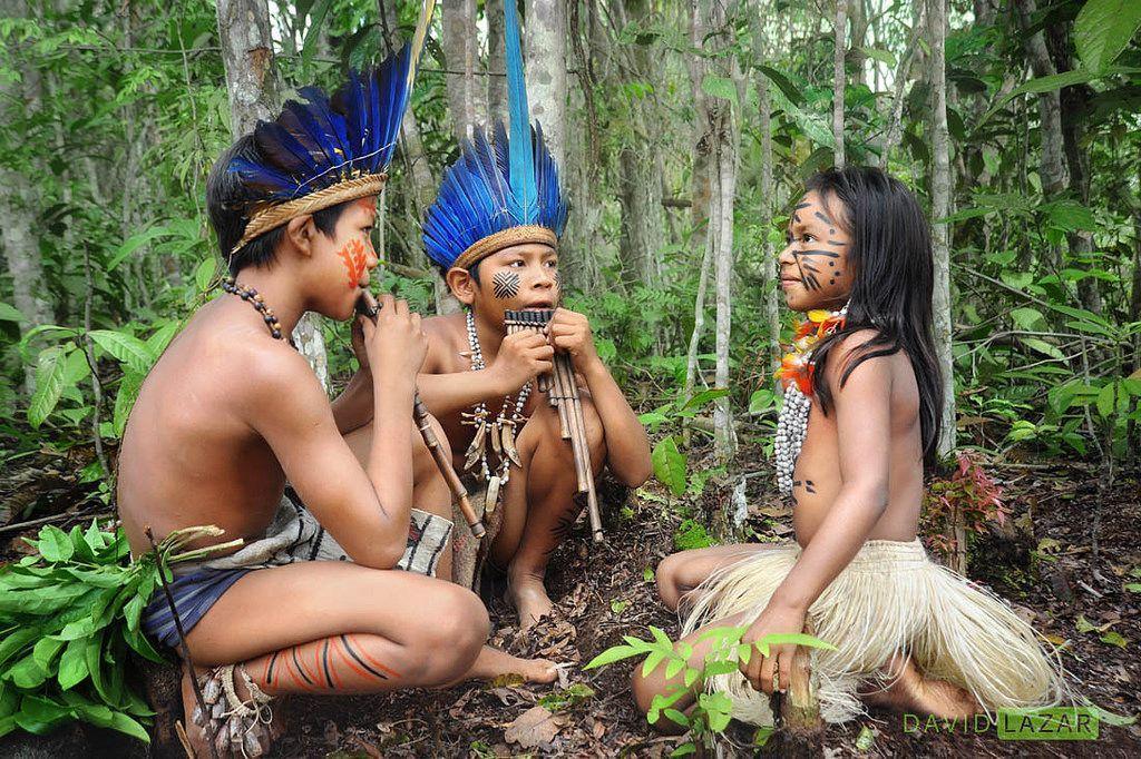 قبایل آمازون - نارون اکوتور