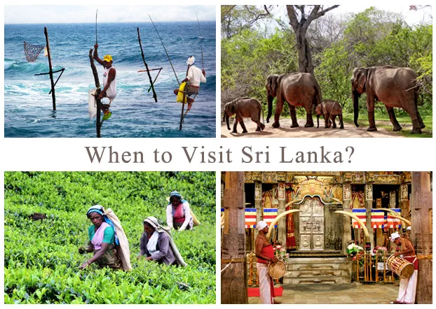 بهترین زمان سفر به سریلانکا - نارون اکوتور