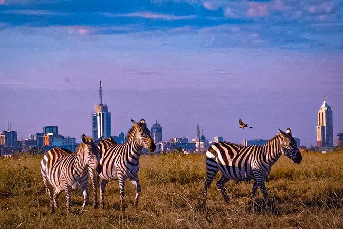 پارک ملی نایروبی - نارون اکوتور